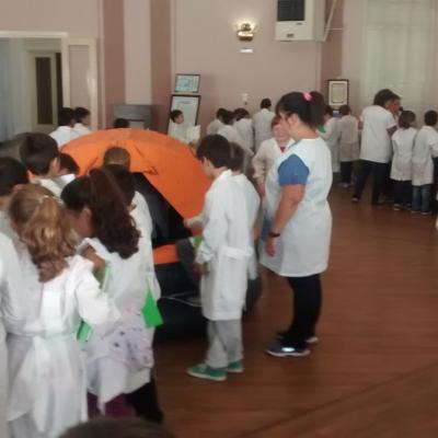 2017 Necochea 19